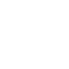 icons8 certificate 100