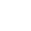 icons8 support 100