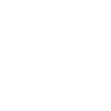 icons8 verify 100